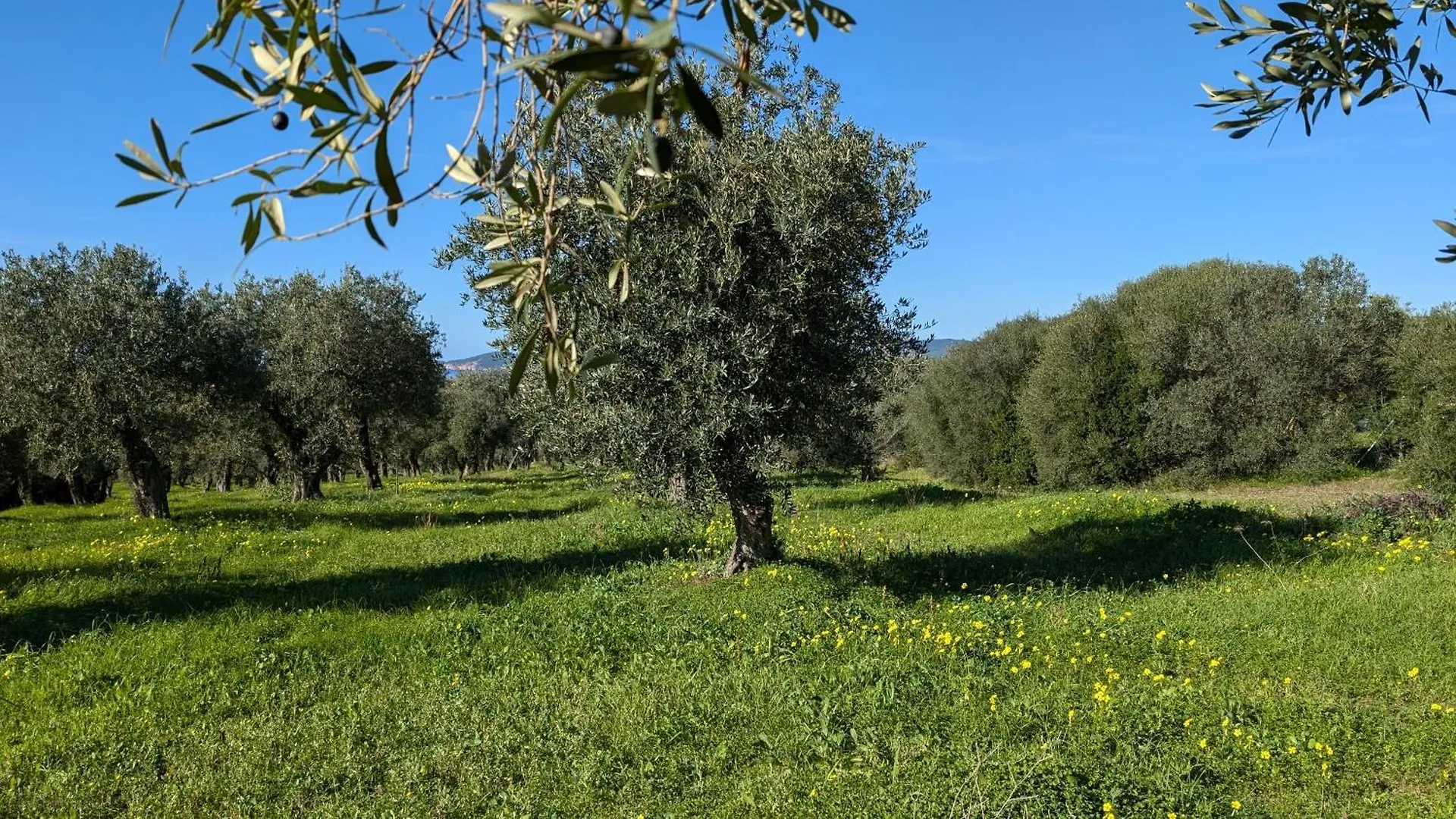 Casale Valverde Alghero