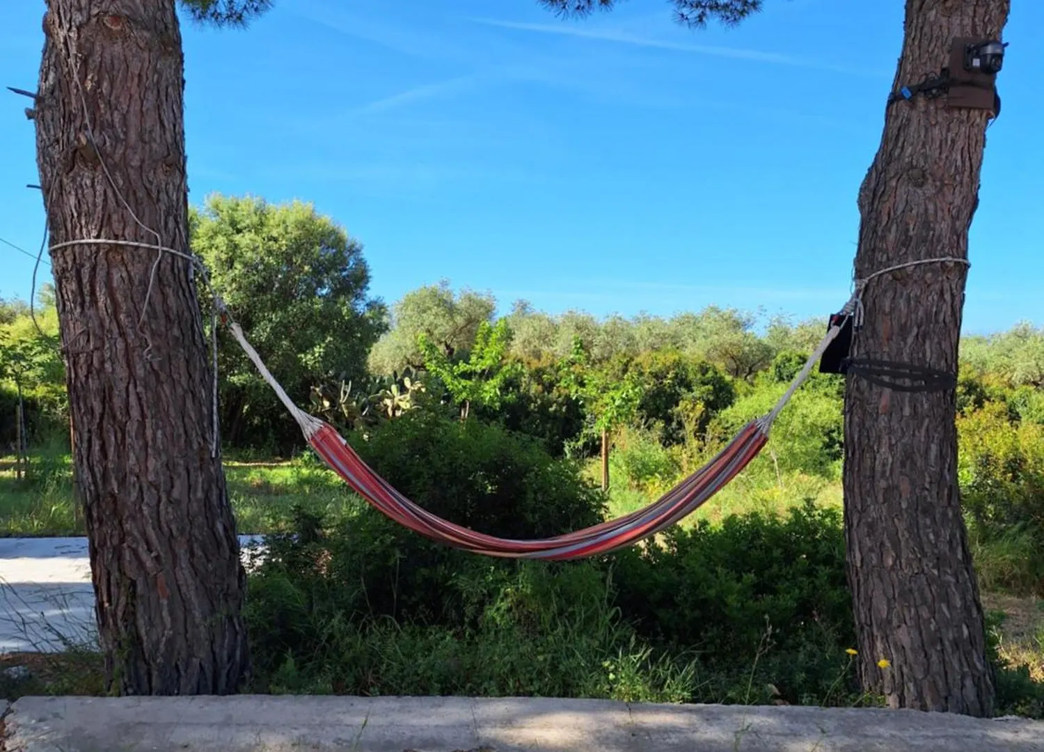 Casale Valverde Alghero Bed & Breakfast